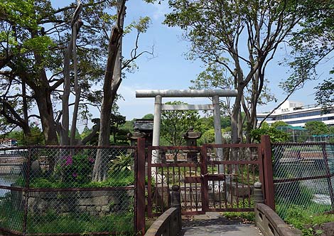 �s�E�r ���V�� �Ђ��n��[�ʖ��F�����ےn��]�i�����������jB�����X�|�b�g