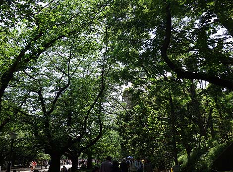 ���Ԃ��X�����i2014�N�S�[���f���E�B�[�N4��4���������j