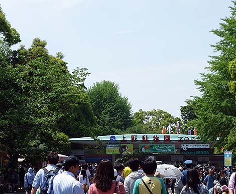 ���Ԃ��X�����i2014�N�S�[���f���E�B�[�N4��4���������j