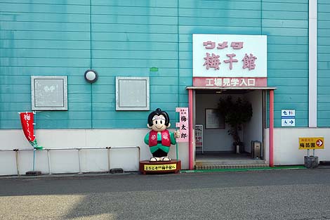 �a�̎R��I�̖������W���[�X�|�b�g�I�H�ꌩ�w�Ɣ~�������H�u�I�B�~���فv�i�a�̎R�݂Ȃג��j