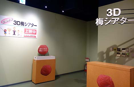 �a�̎R��I�̖������W���[�X�|�b�g�I�H�ꌩ�w�Ɣ~�������H�u�I�B�~���فv�i�a�̎R�݂Ȃג��j