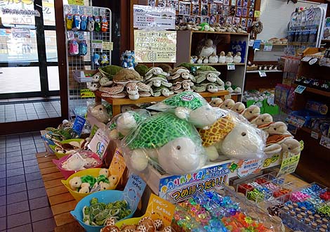 ウミガメの生態に触れ合える無料施設:道の駅「紀宝町ウミガメ公園」(三重県南牟婁郡)