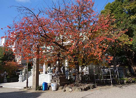 ����Ȏ��q���Ɉ��|�E�E�E��g����_�Ёi���~�i�~�jB�����X�|�b�g